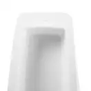 Qtap Scorpio Писсуар напольный, белый (QT1588HDU900W)