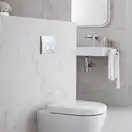 Geberit DELTA 21 смывная клавиша, пластик, хром глянц. (115.125.21.1)