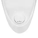 Qtap Crow Писсуар напольный, белый (QT0588HDU005W)