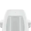 Qtap Baby Подвесной писсуар, белый с рисунком (QT2388U460EWD)
