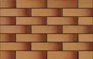 CERRAD Miodowa GLAZED Плитка фасадна, медова (9850) (5903263449850)