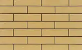 CERRAD Piaskowa Rustiko Плитка фасадна, пісочна (5903263449676)
