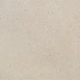 Плитка підлогова Quarzite Світло-сірий NAT 40x40 код 5039 Nowa Gala (P-N-QZ12-40X040-082-1-1)