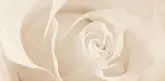 OPOCZNO Декор Effecta Beige 29,7x60 код 6662 Опочно (TDZZ1058232636)