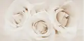 OPOCZNO Декор Camelia Flower 29,7x60 код 3423 Опочно (TDZZ1228852018)