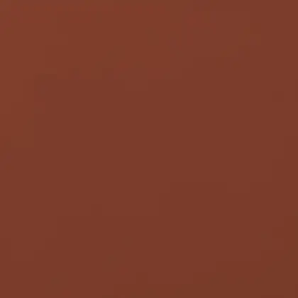 Плитка підлогова Rot 30x30x1,1 код 5241 Cerrad (5903263445241)