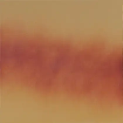 Плитка підлогова Осінній лист 30x30x1,1 код 5296 Cerrad (5903263445296)