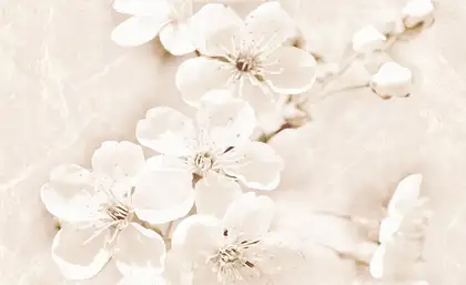 Cersanit Декор Sofi Flower 25x40 код 7148 Церсаніт (TDZZ1253181079)