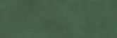 OPOCZNO Плитка стінова Green Show SATIN 39,8x119,8 код 1567 Опочно (TWZR1022847893)