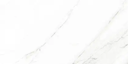 ARCANA CERAMICA Плитка керамогранітна Les Bijoux Nagoya-R Blanco POL 593x1193x11 Arcana (8P25)