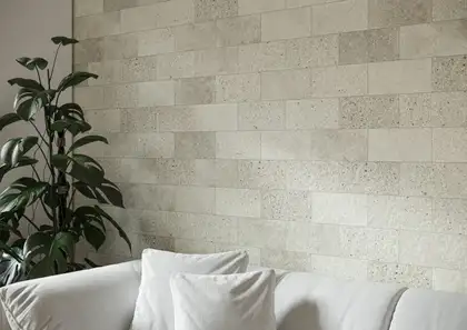 Cerrad Saltstone Фасадний камінь Bianco (5902510809348)