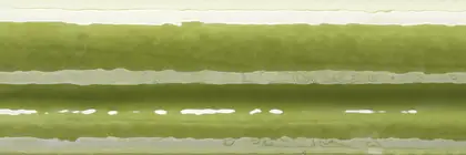 Фриз Moldura Calabria Pistacho 40x150 Mainzu (PT02159)