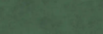 OPOCZNO Плитка стінова Green Show SATIN 39,8x119,8 код 1567 Опочно (TWZR1022847893)