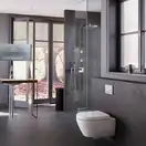 Geberit Omega 30 Клавиша смыва, хром/матовый хром (115.080.KH.1)