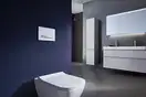 Geberit Sigma 50 Клавіша змиву, біла (115.788.11.2)