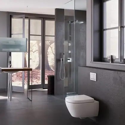 Geberit Omega 30 Клавиша смыва, хром/матовый хром (115.080.KH.1)