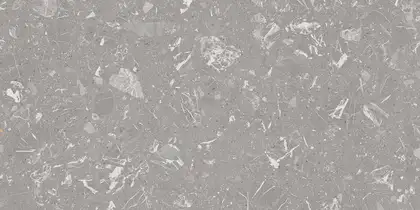 Плитка керамогранітна 4ZLN Luna-R Gris PULIDO RECT POL 593x1193x11 Vives Плитка керамогранітна 4ZLN Luna-R Gris PULIDO RECT POL 593x1193x11 Vives