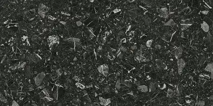 Плитка керамогранітна 4ZLP Luna-R Negro PULIDO RECT POL 593x1193x11 Vives