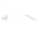 Керамогранит Almera Ceramica Calacatta White CHV 8 х 40 см 508102