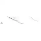 Керамогранит Almera Ceramica Calacatta White CHV 8 х 40 см 508102