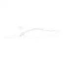 Керамогранит Almera Ceramica Calacatta White CHV 8 х 40 см 508102