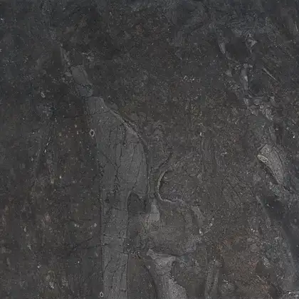 Pamesa Ceramica Manaos Dark Керамограніт, темний (432659)