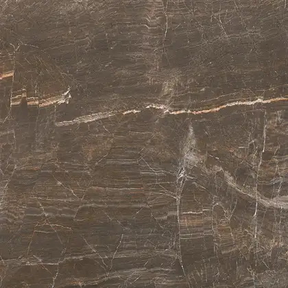 Pamesa Ceramica Керамогранит Pamesa Ceamica Forvm Brown 60 х 60 см 450178