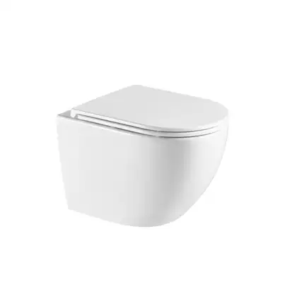 унитаз Omnires Ottawa Comfort 54x36,5 подвесной, без ободка, сиденье дюропласт, white mat (OTTAWACMWBM)