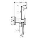 Hansgrohe Bidette 1jet S EcoSmart+ Гігієнічний душ, бронза (29232140)