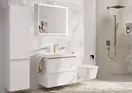 Лейка для душа Hansgrohe Pulsify E 100 1jet EcoSmart+ (цвет - шлифованная бронза) 24321140
