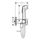 Hansgrohe Bidette 1jet S EcoSmart+ Гігієнічний душ, бронза (29232140)