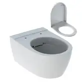 Унітаз підвісний Geberit iCon Rimfree з кришкою Soft-Close, білий (204060000/500.670.01.1) (204060000_500.670.01.1)