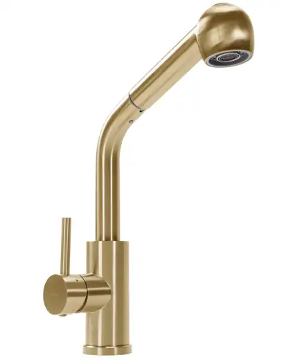 Смеситель для кухни REA TROY BRUSHED GOLD (REA-B6302)