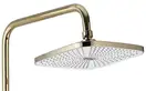 Rea Storm Gold Душовий гарнітур, золотий (REA-P9531)