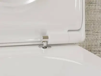 Унітаз підвісний AquaFall Flush (безободковий) Hansgrohe EluPura S в комплекті з сидінням SoftClose  60193450 + 60148450