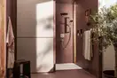 Hansgrohe Raindance Alive Select S Гарнітур, хром (24600000)