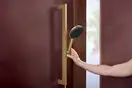 Hansgrohe Raindance Alive S Ecosmart, шліфована бронза (24600140)
