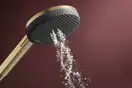 Душовий гарнітур Hansgrohe Raindance Alive Select S 3Jet EcoSmart, шланг 160 см, Brushed Bronze  24611140