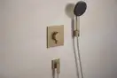 Душовий гарнітур Hansgrohe Raindance Alive Select S 3Jet EcoSmart, шланг 160 см, Brushed Bronze  24611140