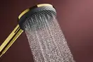 Hansgrohe Raindance S 3Jet Душовий гарнітур, Gold (24611990)