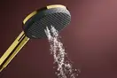 Hansgrohe Raindance S 3Jet Душовий гарнітур, Gold (24611990)