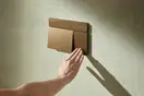 HANSGROHE iFrame Element E Клавіша змиву, Brushed Bronze (66003140)