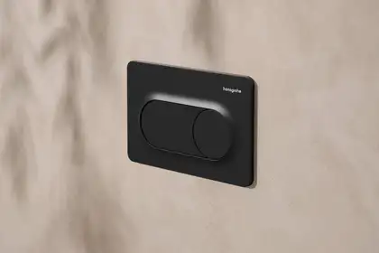 Hansgrohe iFrame Original S Кнопка змиву, Матовий чорний (66002670)