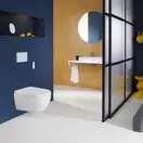 Geberit AquaClean Alba Унітаз-біде підвісний, білий (146.350.01.1)