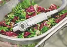 Змішувач для кухні з висувним виливом Grohe Eurosmart (30305000)