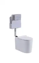 Koer KT-0405 Инсталляционный бачок для напольного унитаза (KR5314)