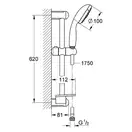 GROHE душовий гарнітур new tempesta 100 (28436001) фото 2 Aquada.com.ua