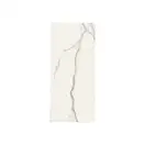 Керамогранит REX CERAMICHE REX MAGNUM Classici Statuario Soft 120X240 (746598) фото 1 Aquada.com.ua