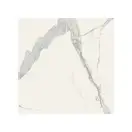 Керамогранит REX CERAMICHE REX MAGNUM Classici Statuario Glossy 120X120 (746604) фото 1 Aquada.com.ua