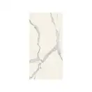 Керамогранит REX CERAMICHE REX MAGNUM Classici Statuario Glossy 120X240 (746605) фото 1 Aquada.com.ua